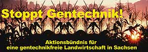 Aktionsb&uuml;ndnis f&uuml;r eine gentechnikfreie Landwirtschaft in Sachsen